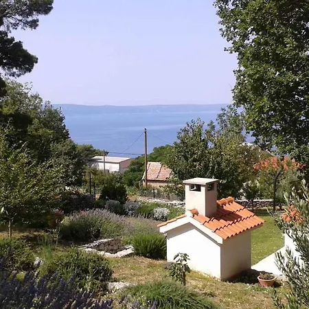 In 6624 Daire